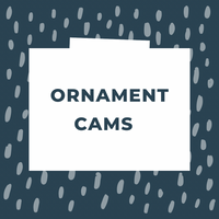 Ornament Camera WS